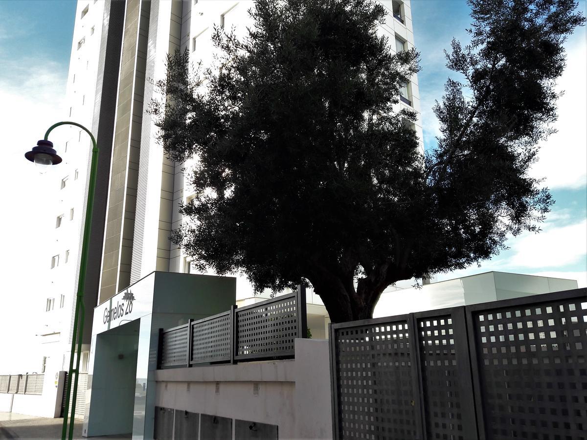 Gemelos Primera Linea Apartment Benidorm Exterior foto
